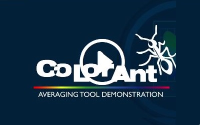 Color Ant