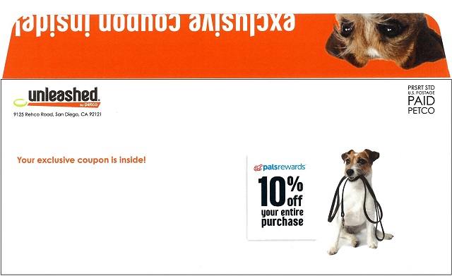 Exclusive dogs 13