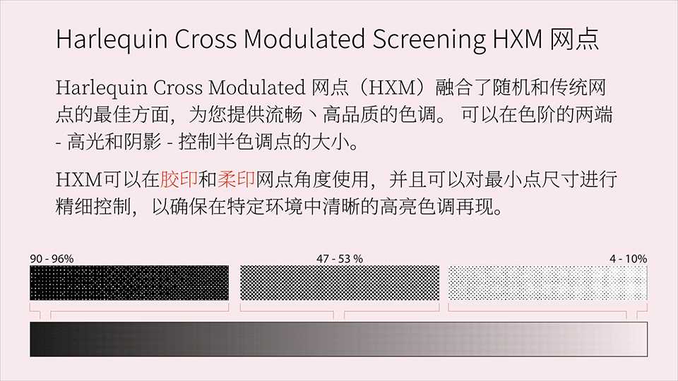 rip zhCN v10016
